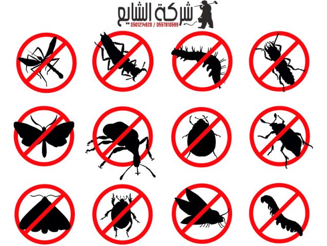 شركة مكافحة حشرات بالرياض بجده بالدمام بالخرج بتبوك بينبع
